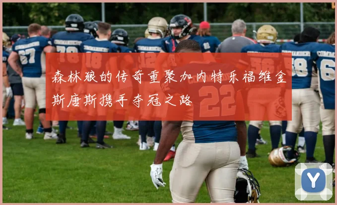 森林狼的传奇重聚加内特乐福维金斯唐斯携手夺冠之路